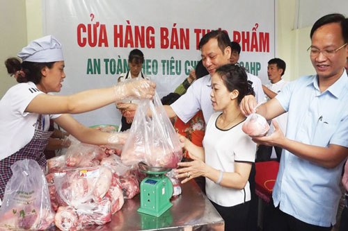 Bắc Giang phát triển HTX, Liên hiệp HTX