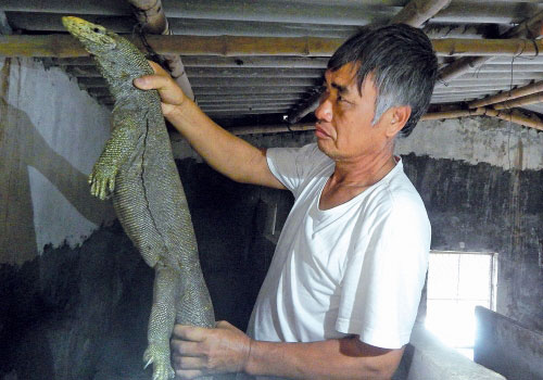 Nuôi con nhìn ghê, trồng cây đẹp phát mê, thu cả trăm triệu