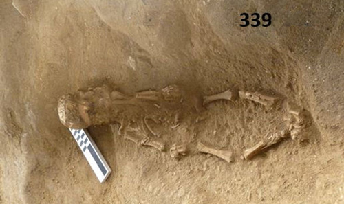 Phát hiện điều khủng khiếp bên trong ngôi mộ 2.100 tuổi