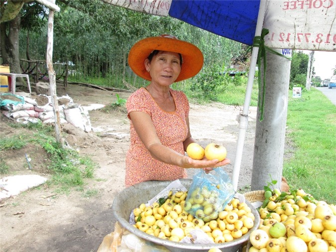 an giang: dan bay nui trong thi xen cay an trai, thu 200.000 d/ngay hinh anh 4