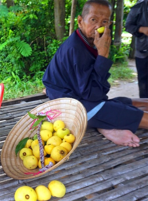 an giang: dan bay nui trong thi xen cay an trai, thu 200.000 d/ngay hinh anh 6