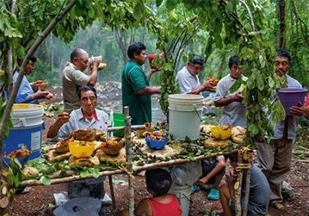 Tục hiến tế trinh nữ của người Maya