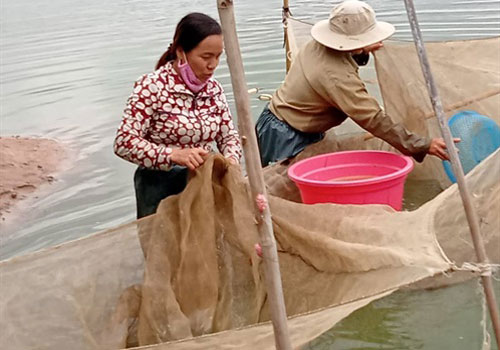 Gia Lai: Hợp tác xã cá giống tiêu biểu vùng Tây Nguyên