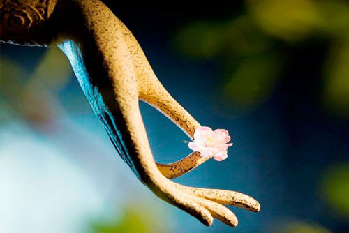 Vận số hanh thông nếu ta thay đổi 2 thói nghĩ sau