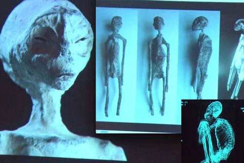 Phát hiện 5 thi thể có hình dáng kỳ lạ, nghi vấn người ngoài hành tinh.