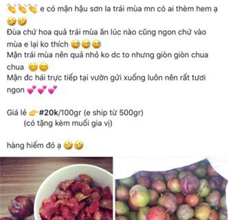 Mận trái mùa giá cao nhưng vẫn đắt khách - Ảnh 2.