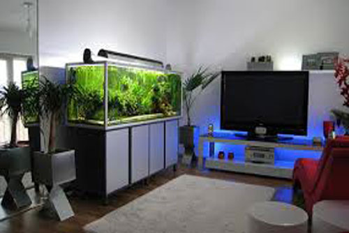 Bài trí yếu tố nước trong nhà theo phong thủy “tiện đường” đón tài lộc