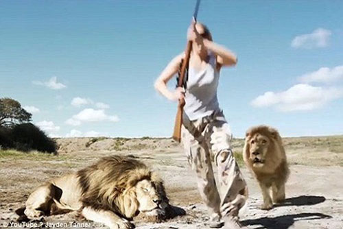 Sư tử vồ nữ thợ săn với tiếng thét ghê rợn?