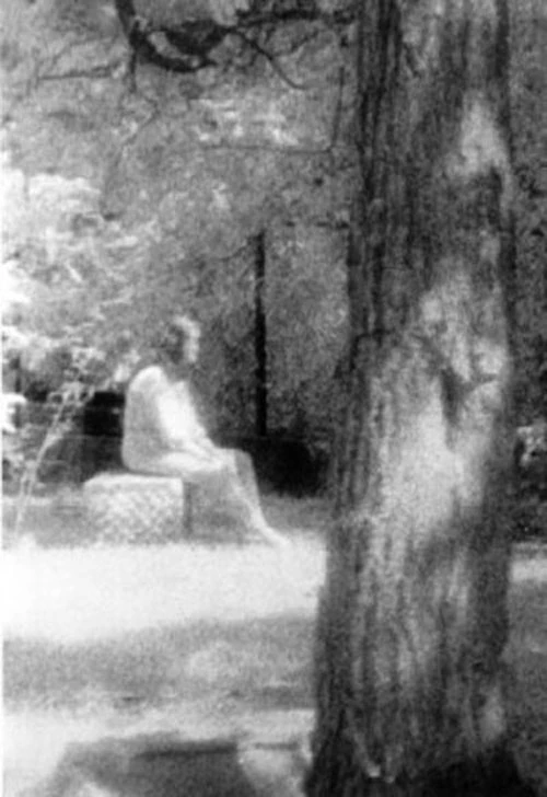 Bức ảnh muôn đời bí ẩn chụp người phụ nữ ngồi trên mộ tại nghĩa trang Bachelor’s Grove ở Illinois, Mỹ ngày 10/8/1991 là câu hỏi lớn suốt nhiều năm qua. Nhiếp ảnh gia Mari Huff thuộc Hiệp hội Nghiên cứu Ma đã chụp bức ảnh trên cho thấy hình ảnh một phụ nữ đang ngồi trên ngôi mộ trong trang phục làm bằng vải khâm liệm, trong khi cơ thể có phần trong suốt. Nghĩa trang Bachelor’s Grove là một trong những nơi ma ám nặng nhất nước Mỹ và cũng là nơi xuất hiện nhiều hiện tượng dị thường.