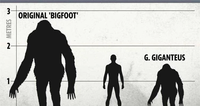 Loi giai qua choang ve su ton tai cua quai vat Bigfoot-Hinh-4