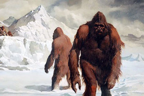Một nghiên cứu mới đây chỉ ra quái vật Bigfoot nguyên bản là sinh vật nửa người nửa vượn có cơ thể to lớn hơn rất nhiều so với con người ngày nay.