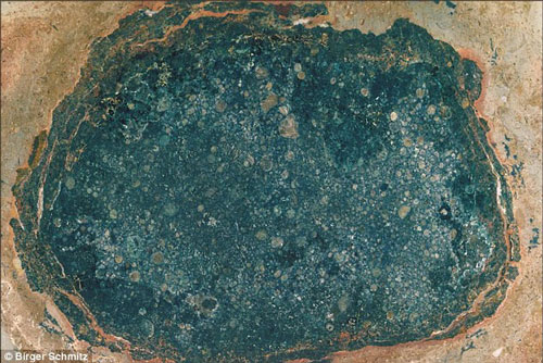 Xôn xao phát hiện hóa thạch tiểu thiên thạch cổ đại