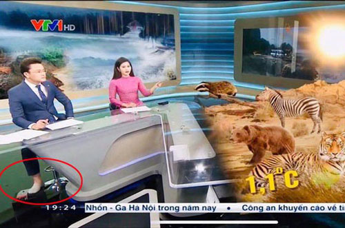 BTV thời sự đình đám VTV bị soi sự cố “hớ hênh” ngay trên sóng bản tin tối qua, nhìn ảnh ai cũng bất ngờ