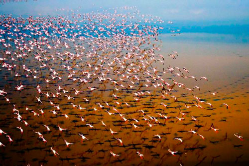 Giải mã rùng rợn “vùng nước tử thần” có thật trên thế giới