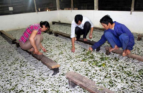 Y&#xEA;n B&#xE1;i: Tr&#x1EA5;n Y&#xEA;n ph&#x1EA5;n &#x111;&#x1EA5;u tr&#x1EDF; th&#xE0;nh huy&#x1EC7;n n&#xF4;ng th&#xF4;n m&#x1EDB;i &#x111;&#x1EA7;u ti&#xEA;n