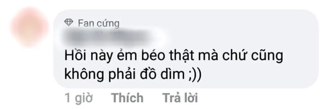 Trông có vẻ Tần Lam nhưng lại là Lý Lan Địch, tạo hình Diên Hi Công Lược bản nhái bị netizen chê tơi tả - Ảnh 13.