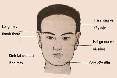Top 4 tướng trán của đàn ông mang mệnh phú quý, giàu sang hơn người