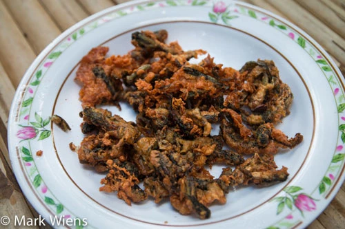 Nếu đến Thái Lan du lịch, du khách chỉ cần hỏi Mok Huak thì ai cũng biết. Đây là một món ăn được chế biến từ nòng nọc chứ không phải là một con ếch trưởng thành.