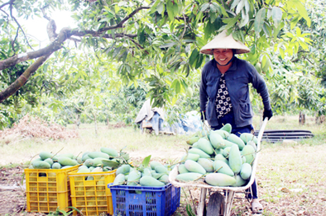 Các mô hình đang lan tỏa hiệu quả