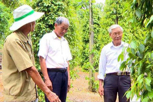 Đắk Nông: Cựu binh 80 tuổi làm giàu trên 'quê hương' thứ hai