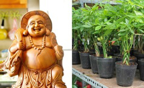 8 món quà tân gia may mắn chủ nhà nào cũng 'thích mê'