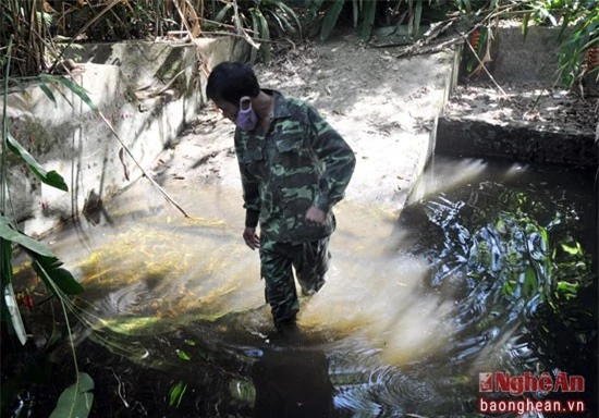 Tan muc ky da hoang da o Vuon quoc gia Pu Mat-Hinh-4