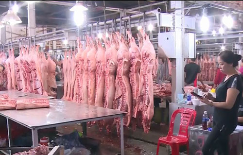Khẩn trương báo cáo Thủ tướng tình hình giá thịt lợn