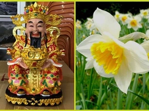 Những loại hoa đánh thức tài lộc, sáng đặt bàn thờ Thần Tài chiều gặp may