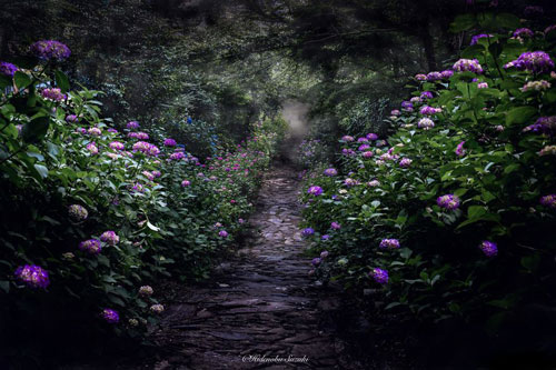 Đẹp tuyệt mỹ khung cảnh thần tiên mùa mưa Nhật Bản