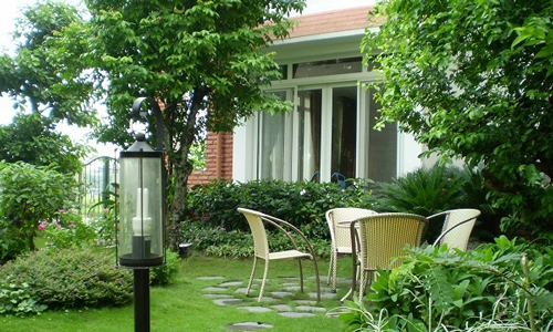 Trồng cây trước nhà và một số lưu ý cực quan trọng về phong thủy