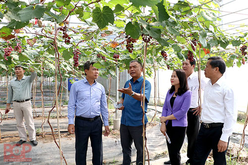 Bắc Giang: Khẳng định tên tuổi nhờ sản xuất an toàn