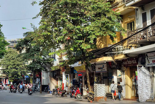 Bí mật lịch sử ít người biết của phố Hàng Gai