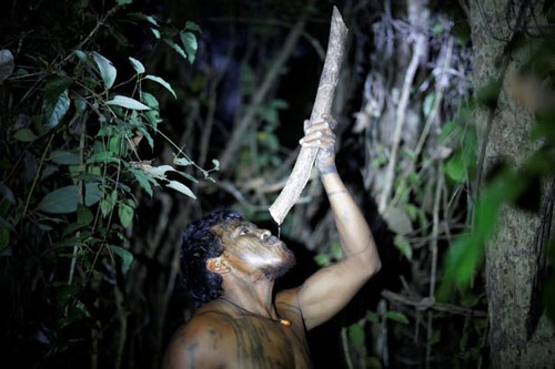 Thủ lĩnh bộ lạc Amazon bị những kẻ lâm tặc phục kích, sát hại