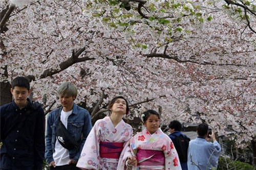 B&#xE0;i h&#x1ECD;c th&#x1EA5;t b&#x1EA1;i &#x111;i&#x1EC3;n h&#xEC;nh t&#x1EEB; c&#xE1;c doanh nghi&#x1EC7;p gia &#x111;&#xEC;nh Nh&#x1EAD;t B&#x1EA3;n