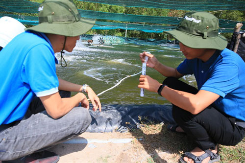 Đồng Nai: Đầu tư lớn cho nuôi tôm công nghệ cao