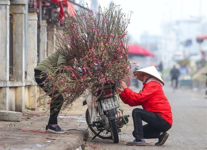 Đào Nhật Tân nở rộ, nhiều tuyến phố Hà Nội ngập tràn sắc xuân - Ảnh 6.