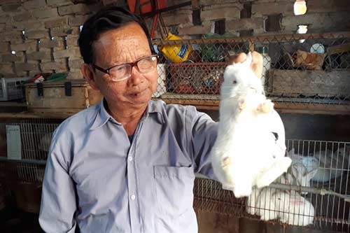 Thái Nguyên: Cụ ông nuôi thỏ thu 300 triệu đồng/năm