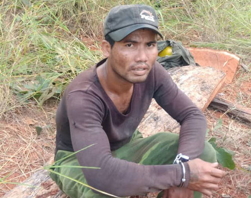 Đắk Lắk: Liên tiếp phát hiện lâm tặc phá rừng tại Vườn quốc gia Yok Đôn