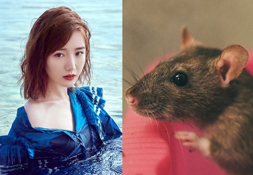 15 ngày nữa, những con giáp dưới đây cẩn thận thị phi, họa từ lời nói, tiền mất tật mang