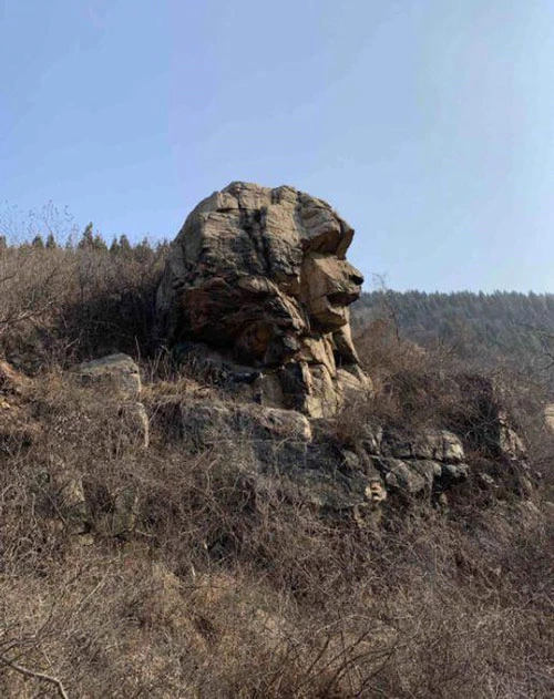 Tảng đá có hình dáng giống người vượn Bắc Kinh