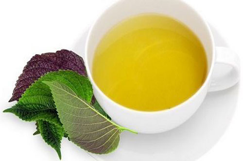 Mách bạn cách giảm cân ngon miệng với lá tía tô