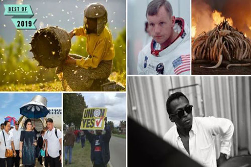Những bộ phim tài liệu xuất sắc nhất năm 2019