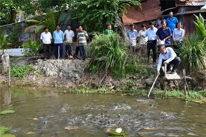 het lu, ngam dan ca loc nuoi ruong lua, ai trong cung thich mat hinh anh 1