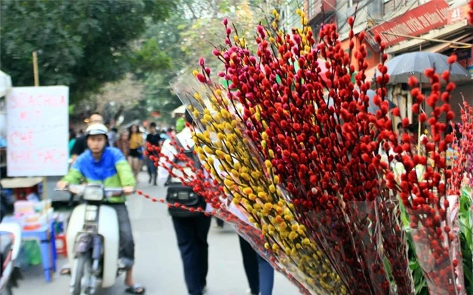 10 loai hoa phong thuy cuc “chuan” nen chon dip Tet-Hinh-3