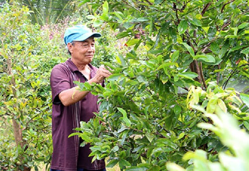 Hậu Giang: Chủ động sản xuất an toàn để bảo vệ môi trường