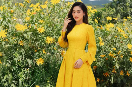 Lương Thùy Linh đẹp mong manh bên hoa dã quỳ Đà Lạt