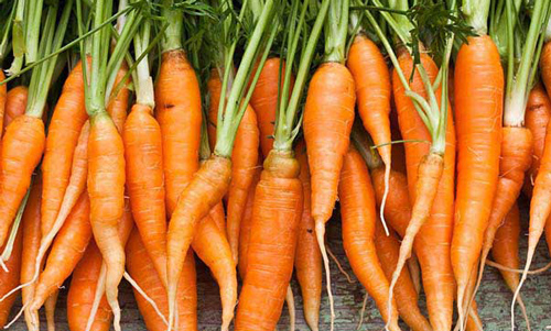 15 thực phẩm ngăn nhiều bệnh ung thư, tiểu đường và mất trí nhớ