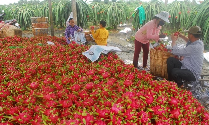 xuat khau nong san sang trung quoc xoa bo tu duy thi truong de tinh