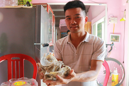 Ninh Bình: Xây nhà cho chim trời “ở trọ” thu chục triệu đồng mỗi tháng