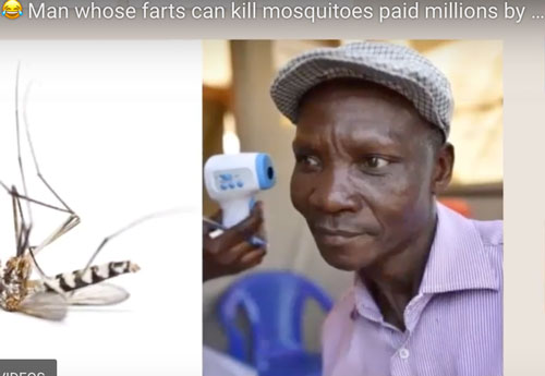 Chỉ cần “xì hơi” cũng giết được muỗi cách xa 6 mét